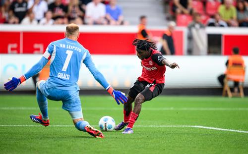 Vipbet Casino: Ultimate Guide and Review